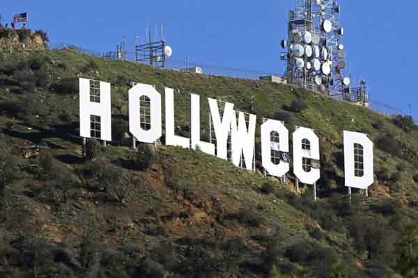 «HOLLYWeeD» : un artiste de 30 ans arrêté