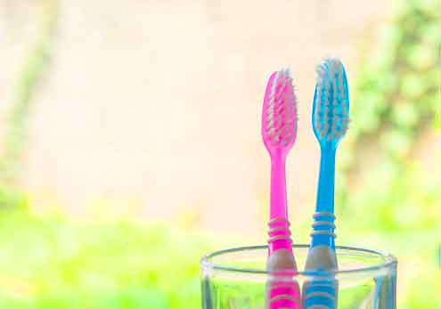 Une romance entre brosses à dents passionne le web