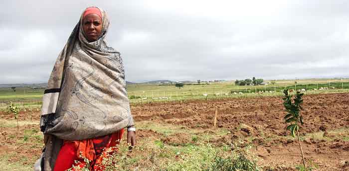 Corne de l’Afrique: la sécheresse menace 17 millions de personnes