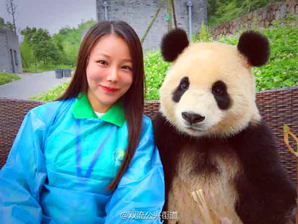 Exit les Bimbos, le roi du selfie est un panda chinois