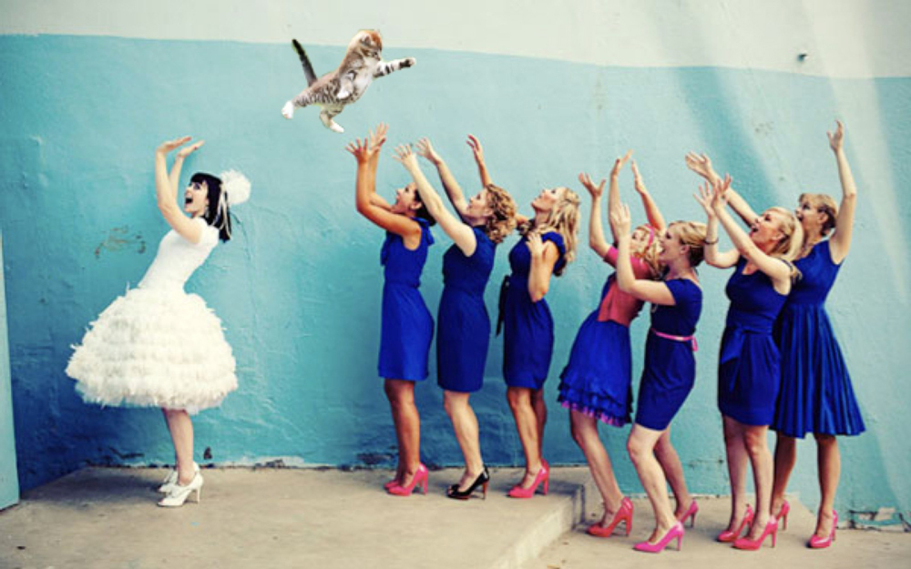 Quand des chats volants remplacent les bouquets de mariées