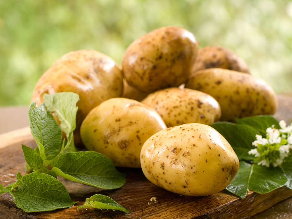 Bientôt des frites en provenance de Mars?