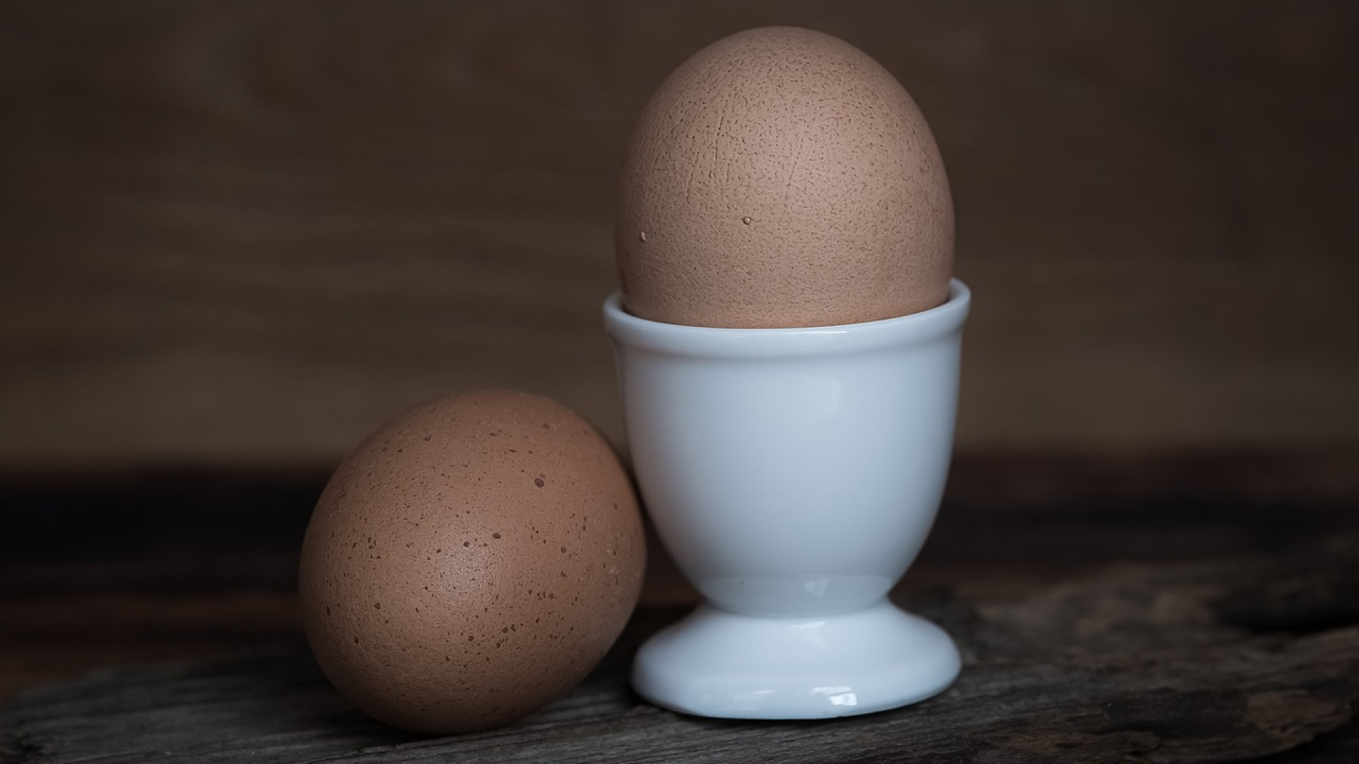 Le scandale des œufs contaminés inquiète les éleveurs français
