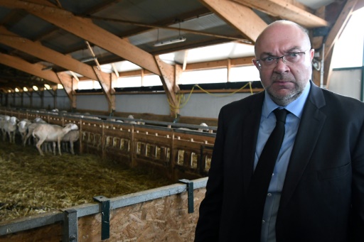 Agriculture bio: l’Etat se désengage des aides au maintien