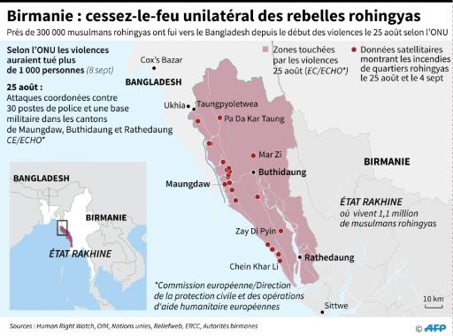 Birmanie: “nettoyage ethnique” selon l’ONU, 300.000 Rohingyas réfugiés au Bangladesh