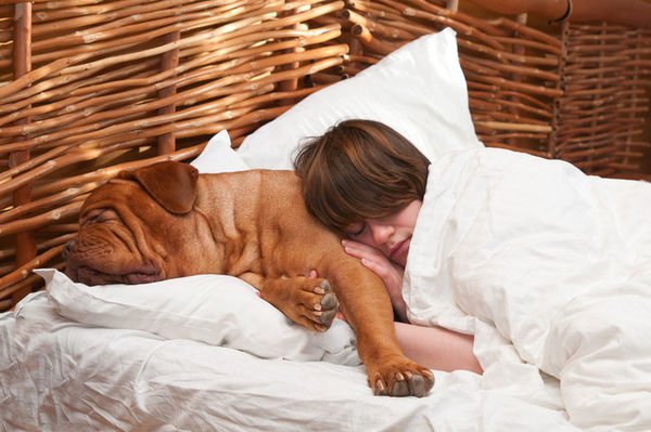 Dormir avec son chien pour un meilleur sommeil