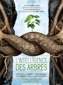 L'Intelligence des Arbres