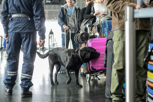 Blanchiment d’argent: des chiens renifleurs de billets pour aider les douaniers