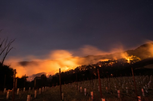 Californie: les riches vignobles en proie à de gigantesques incendies