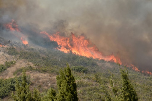 Des milliers de pompiers au front en Californie