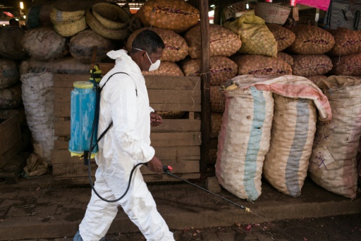 Madagascar: l’épidémie de peste continue de se propager