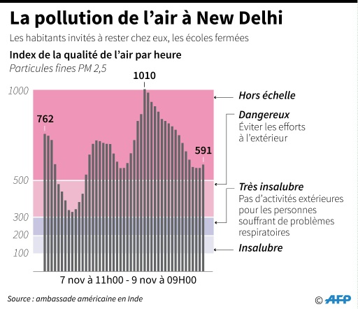 À New Delhi, l’inégalité des petits combats contre la pollution