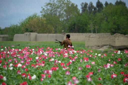 Afghanistan: les Américains ciblent des laboratoires d’héroïne
