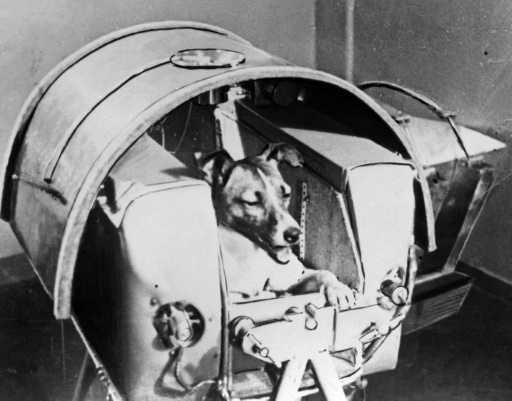Il y a 60 ans, l’URSS envoyait la chienne Laïka dans l’espace